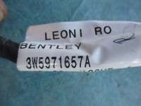 Bentley Flying Spur left rear door wire harness #2356