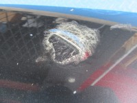 Bentley Continental GT GTC left driver side fender #6243
