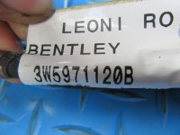 Bentley Continental Flying Spur left front door wire harness #6228